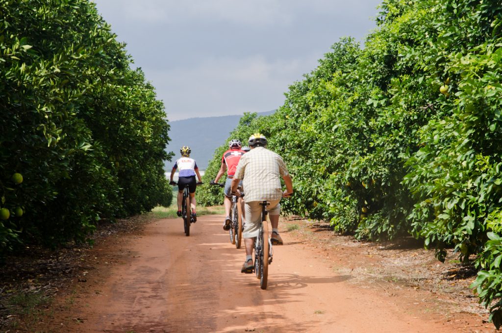 Limpopo Cycling Day Tours South Africa Panorama Pedals