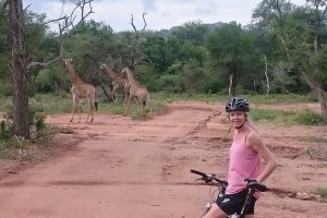 Safari Cycling with giraffes
