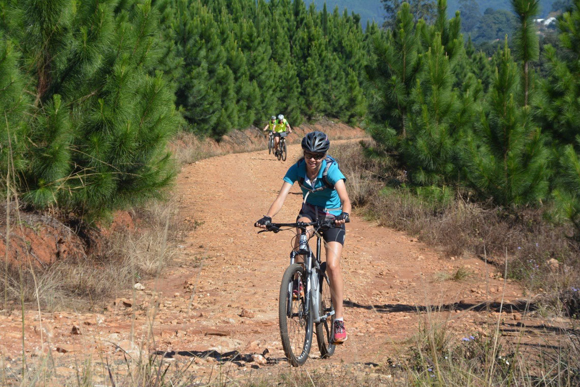 Limpopo Cycling Day Tours
