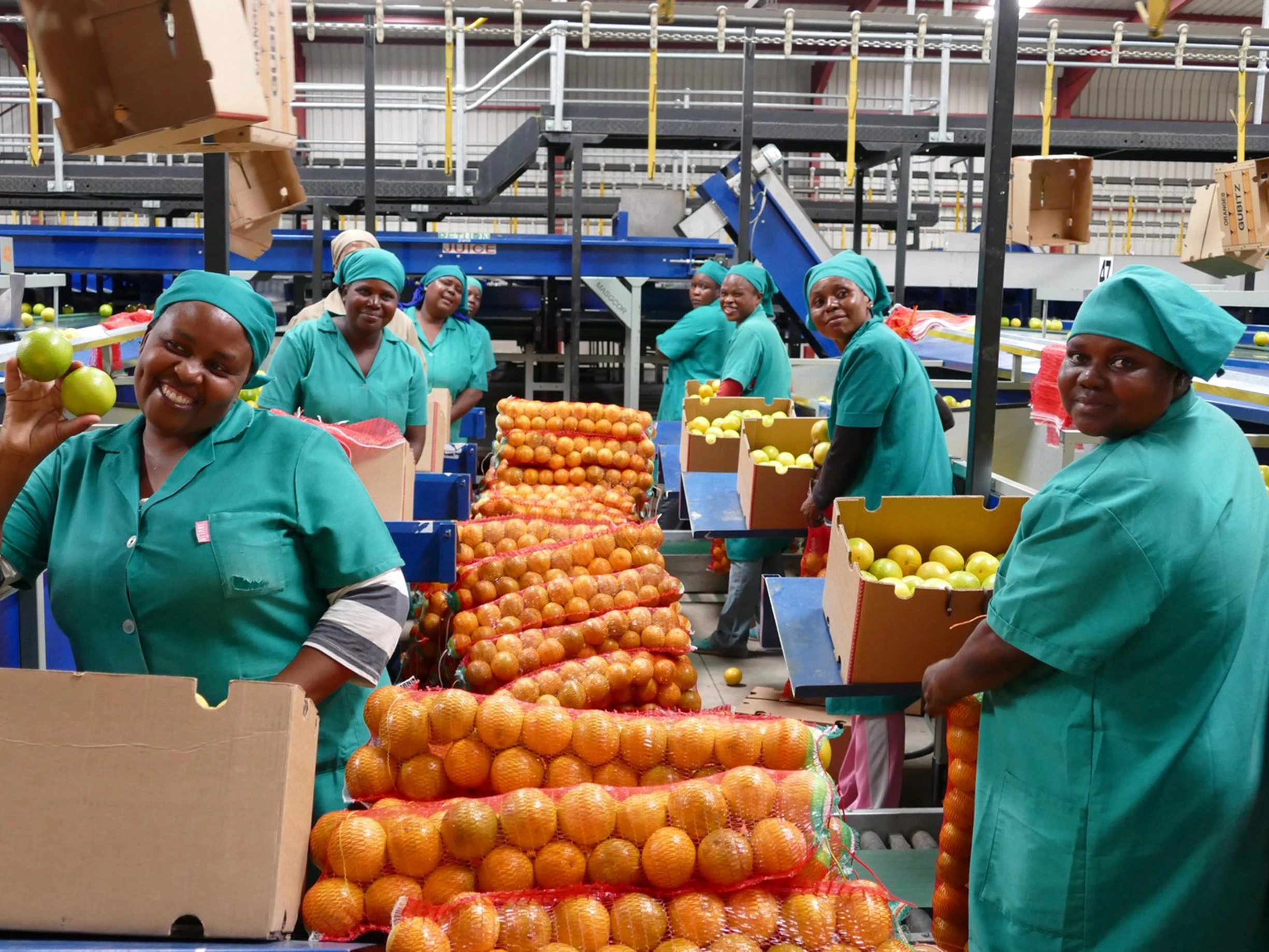 south-africa-safari-cycling