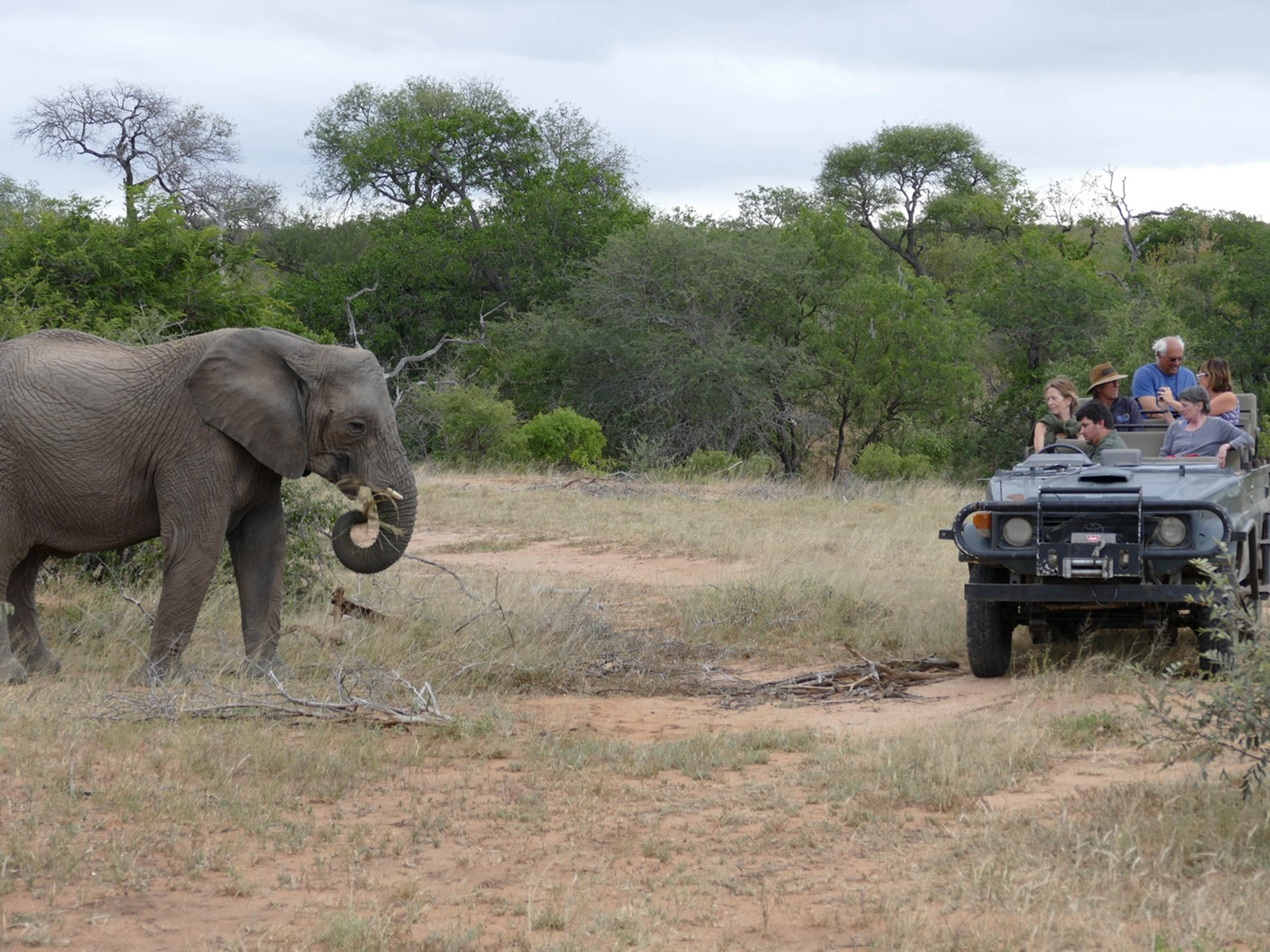 south-africa-safari-cycling