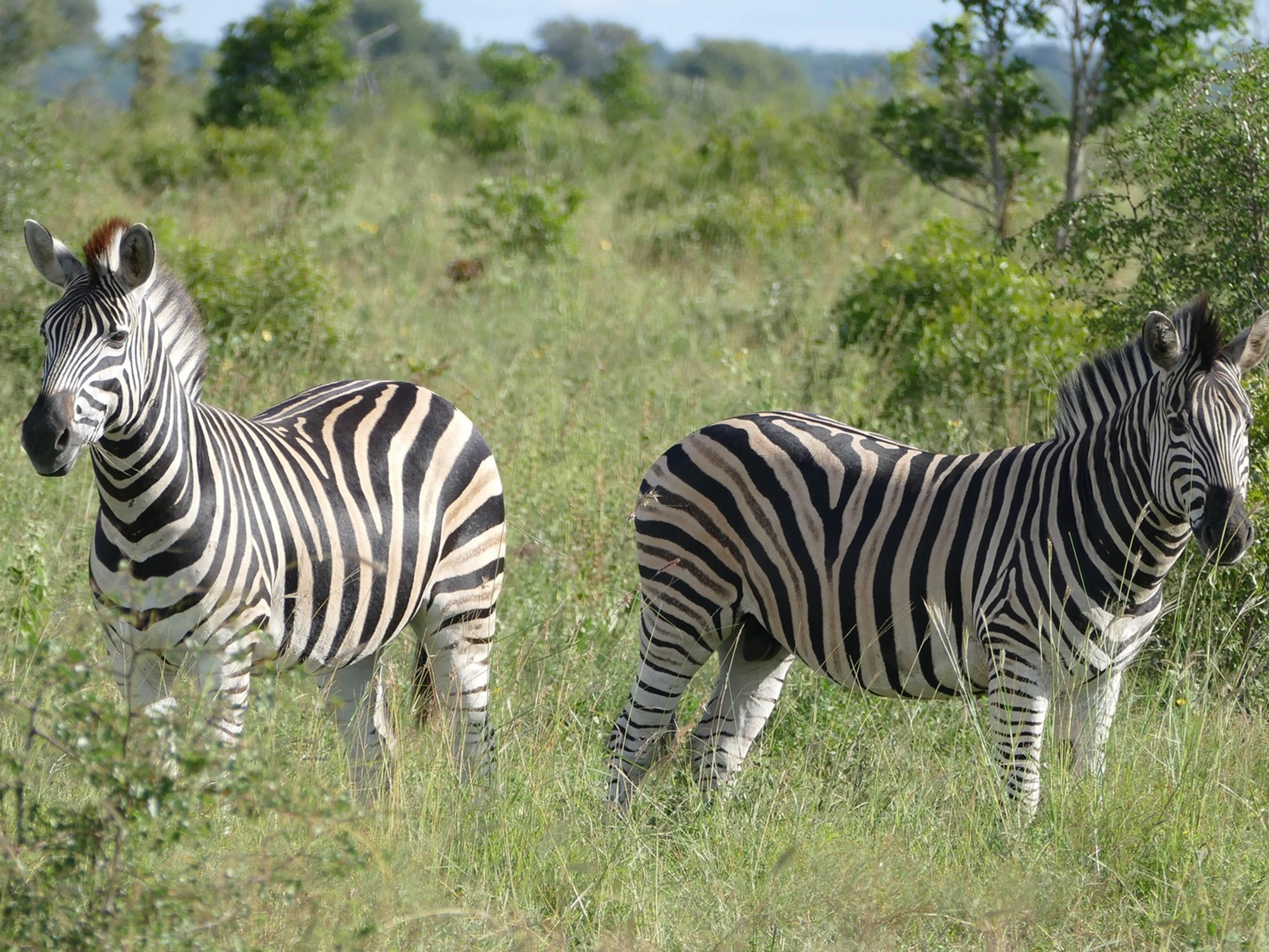 south-africa-safari-cycling